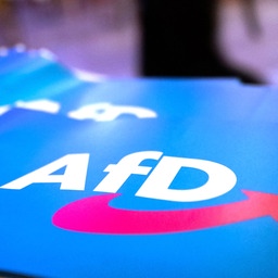Fähnchen mit dem Logo der AfD liegen auf einem Tisch.